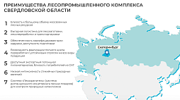 Инвестиционный потенциал лесопромышленного комплекса Свердловской области - ознакомительный фрагмент презентации - 3